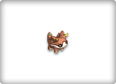 龍貓